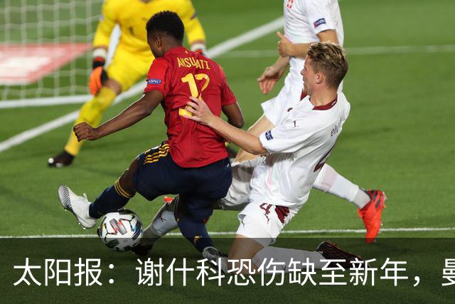太阳报：谢什科恐伤缺至新年，曼联冬窗或买前锋